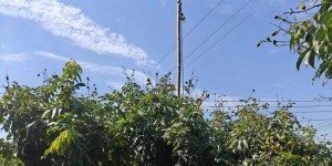 恒信贵金属平台背景与优势，开户情况介绍