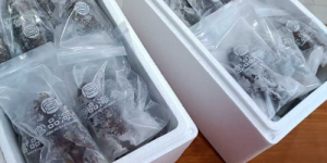 30余年好口碑，宫品海参不忘初心筑品质港湾