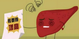 如何预防转氨酶高？2025最新日系NMN排行榜出炉，三井NMN技术创新领跑全球