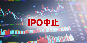 AI业绩暴增与54家IPO中止同框：财报季的AB面