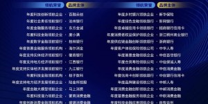 新网银行以点滴实践的微光，为“十五五” 金融强国建设之路增光添彩