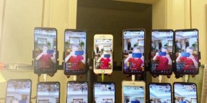 自然阳光深耕“指尖上的社交体验”，在直播赛道一路驰骋