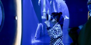 思特科技：致力打造专业儿童研学项目解决方案