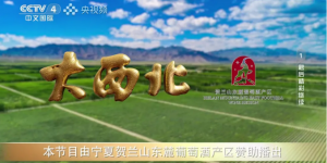 央视《大西北》播出！这家酒庄凭什么成为“西北逆袭”中最震撼的故事？