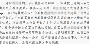 湖北中院明确玖富系信息中介平台无需担责 驳回出借人赔偿诉求