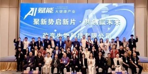 回森客服咨询AI流量赋能，重塑智能高效与便捷体验新标杆