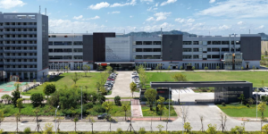 皮阿诺2025年报解读：周期承压下主动谋变，减亏增效夯实发展底气