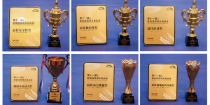 荣耀加冕，实力见证！风景i9斩获NEVC2026挑战赛六项全能大奖