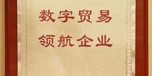 恺英网络董事长金锋——恺英网络获评“数字贸易领航企业” 开启发展新篇章