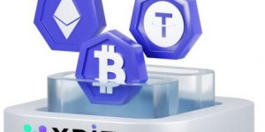 比特币新高背后的结构性转变 XBIT加密货币交易平台有哪些？