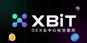 Meme币交易入口在哪？探索XBIT去中心化交易创新之路为投资者提供更优解