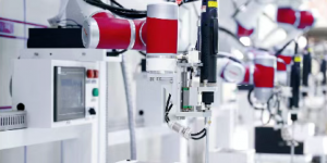 试验区：一座不一样的园区，滋养每一个AI梦想