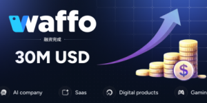全球支付平台Waffo宣布完成3000万美元融资，加速数字经济全球化基础设施建设