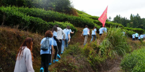 福州大学30名师生赴武夷山开展暑期社会实践