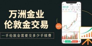 万洲金业炒伦敦金一手手续费多少？开户门槛与最低交易成本揭秘
