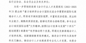 领航全球财务赛道：国际会计高端人才项目，铸就新时代财经领军力量