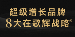 共创“轻咨询”教学模式，歌辉战略赋能长江商学院总裁班，实战拆解企业增长密码
