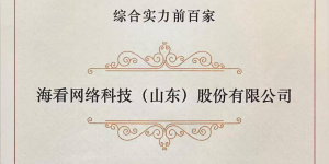 海看股份第七次入选“中国互联网百强企业”