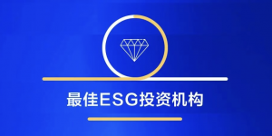 蓝湖资本荣膺 IPO 早知道「2025 年度最佳 ESG 投资机构」