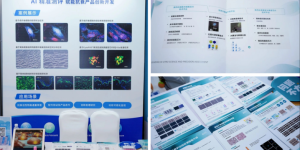 ICIC2025圆满结束！博溪检测以精准测评定义美妆检测新标杆