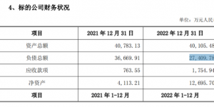 宠物经济学家分析宠物板块独立运营原因