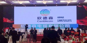 欣德森电缆有限公司国家电网入围企业，电缆技术创新点亮全球能源未来