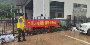 暴雨夜袭车辆被淹 国寿财险多级联动火速救援