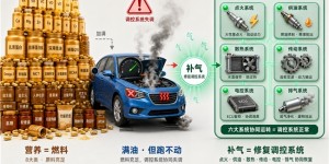 为何吃再多营养品还是气虚？补气≠补充营养的科学真相