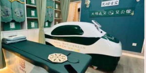 大明古艾闪耀广州艾博会，引领蕲艾产业新风尚