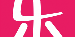 普乐电商:背后实力与独特战略的电商先锋