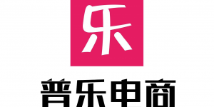 普乐电商:冉冉升起的中国电商明星