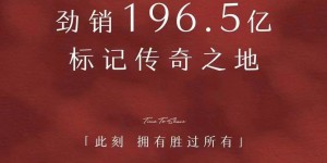 上海新天地一楼盘开盘单日收金196亿，刷新全国纪录