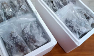 30余年好口碑，宫品海参不忘初心筑品质港湾