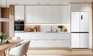 行业变革期，格力冰箱凭什么成为家电巨头的关键落子？