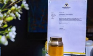 新西兰贸易部长点赞蜜纽康，蜂源健康在进博会受到热捧