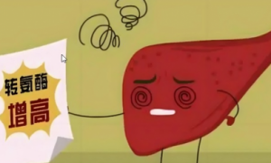 如何预防转氨酶高？2025最新日系NMN排行榜出炉，三井NMN技术创新领跑全球