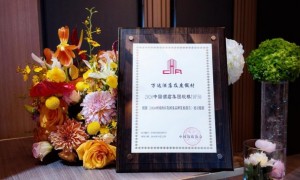 第十五届中国饭店文化节揭晓年度榜单 万达酒店及度假村揽获五项大奖