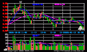 伍朝辉黄金解套课程体系