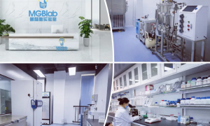 致力用微生物回馈人类，赛哺高兑现儿童健康成长承诺