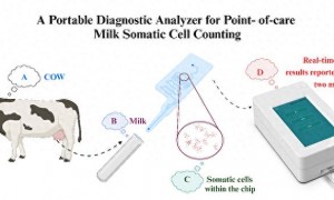 手持式牛奶体细胞快速计数仪研制成功
