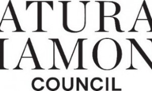 欢迎安哥拉钻石领导机构 ENDIAMA E.P. 与 SODIAM E.P. 正式加入天然钻石协会