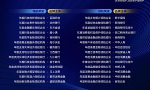 新网银行以点滴实践的微光，为“十五五” 金融强国建设之路增光添彩