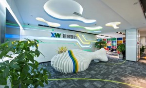 新网银行：以数字技术来发展金融业务，以科技创新思维驱动产品迭代升级