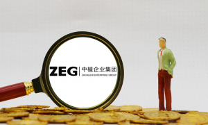 金融市场，投资者如何正确应对中植系投资风险？