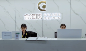 金海豚共享办公——引领金融行业的“共享”理念