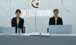 与“金海豚“同行，做不忘初心的金融服务者