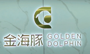 感恩共享，金海豚引领创客新风向