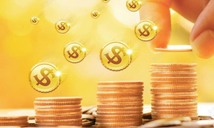 佳期投资季强11月美股表现强劲，2024年股市前景乐观