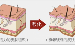淡纹紧致，细腻肌肤，珀莱雅能量面霜带来深层抗老体验
