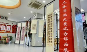 银发浪潮下的创新力量：量子之歌引领中老年生活变革